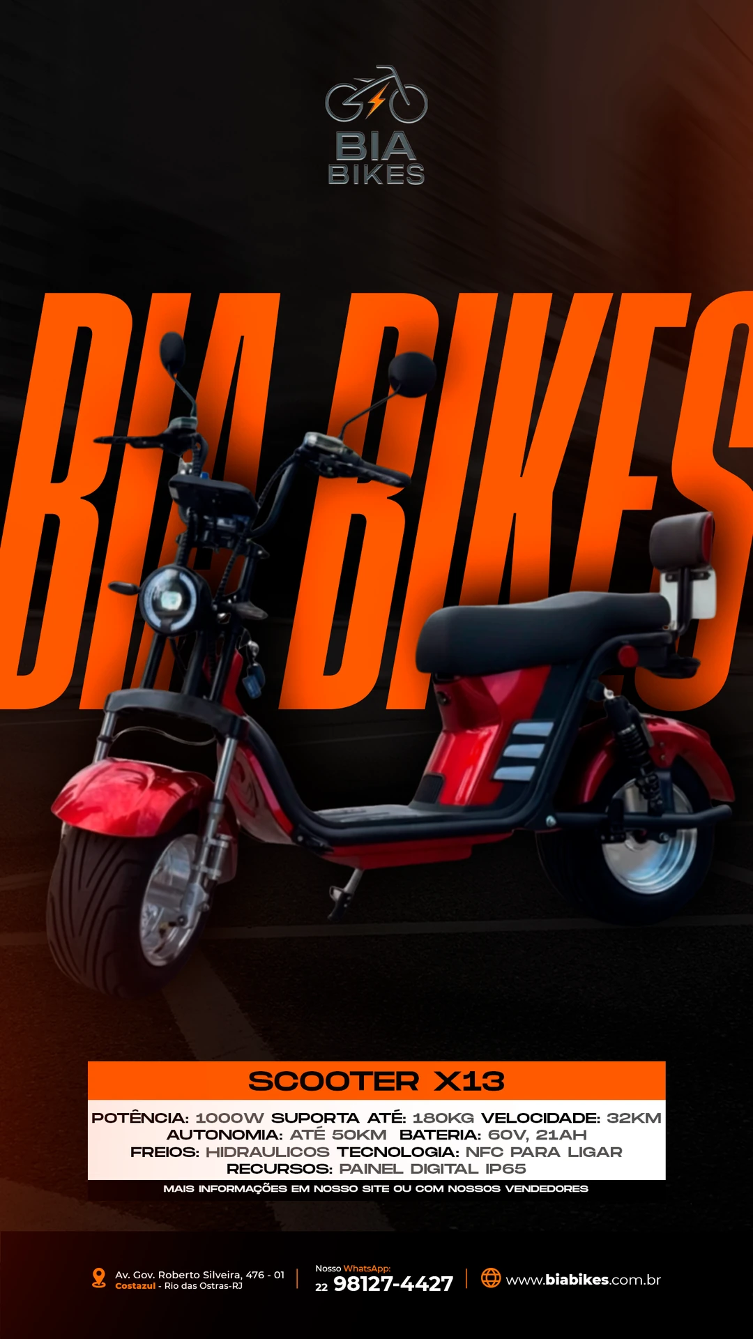 Bia Bikes X13